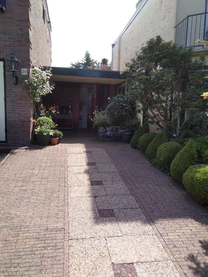 Studio Casa Super Zandvoort Dış mekan fotoğraf
