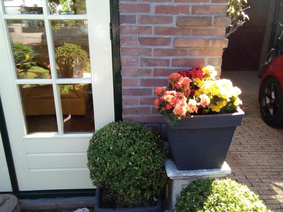Studio Casa Super Zandvoort Dış mekan fotoğraf