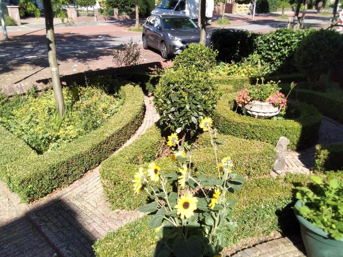 Studio Casa Super Zandvoort Dış mekan fotoğraf
