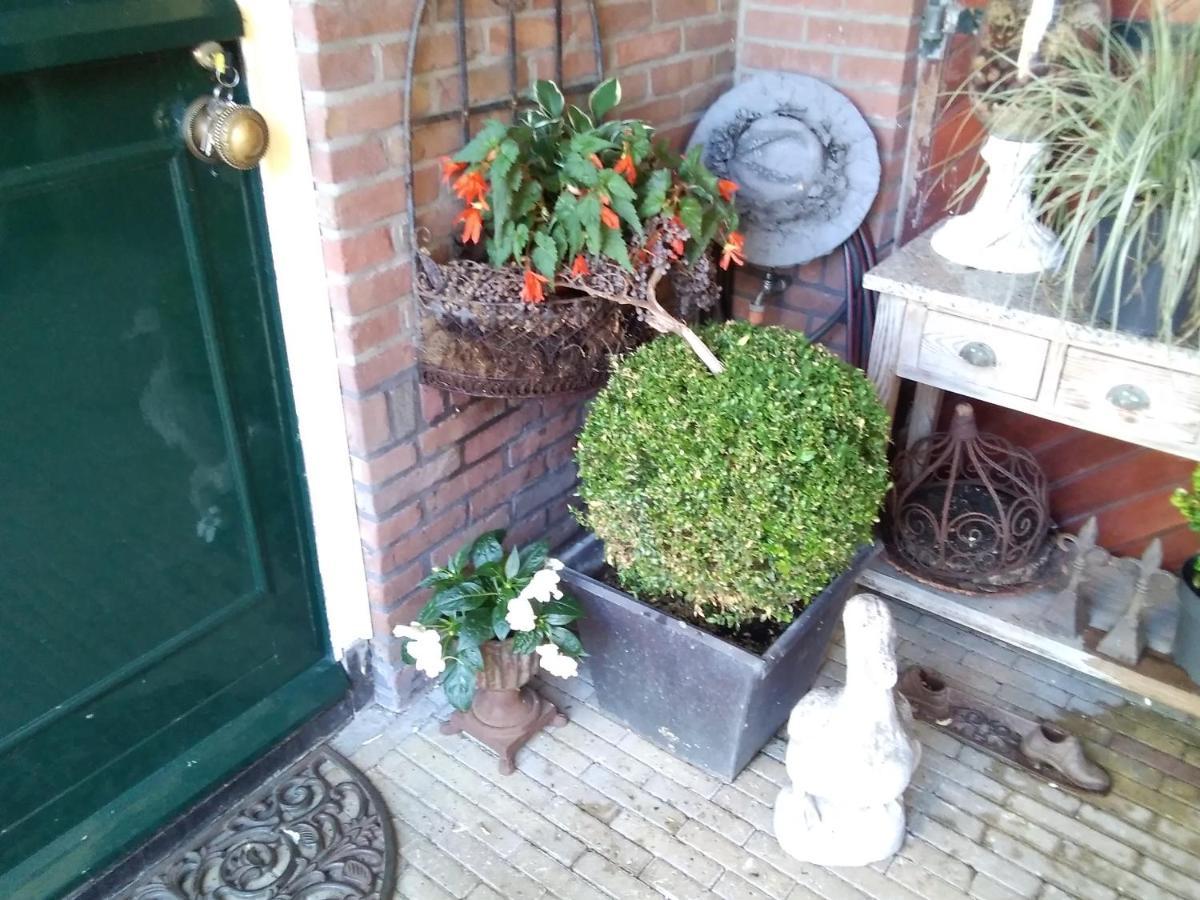 Studio Casa Super Zandvoort Dış mekan fotoğraf